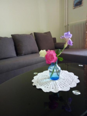 Central Apartment